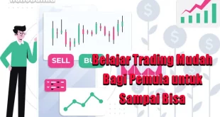 belajar trading pemula