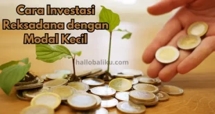 Cara Investasi Reksadana dengan Modal Kecil