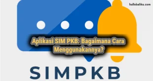 Aplikasi SIM PKB