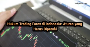 Hukum Trading Forex